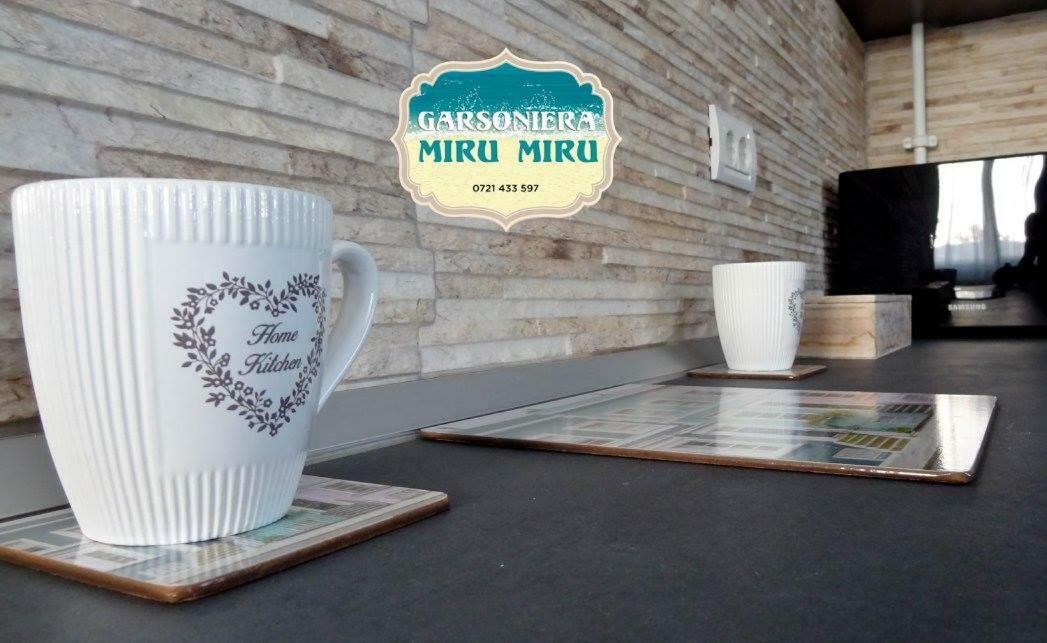 Ferienwohnung Garsoniera Miru Miru Năvodari Exterior foto